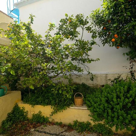 Archontiko Pataka Apartment Rhodes City Ngoại thất bức ảnh