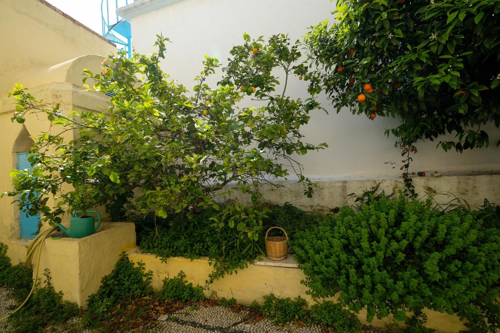 Archontiko Pataka Apartment Rhodes City Ngoại thất bức ảnh